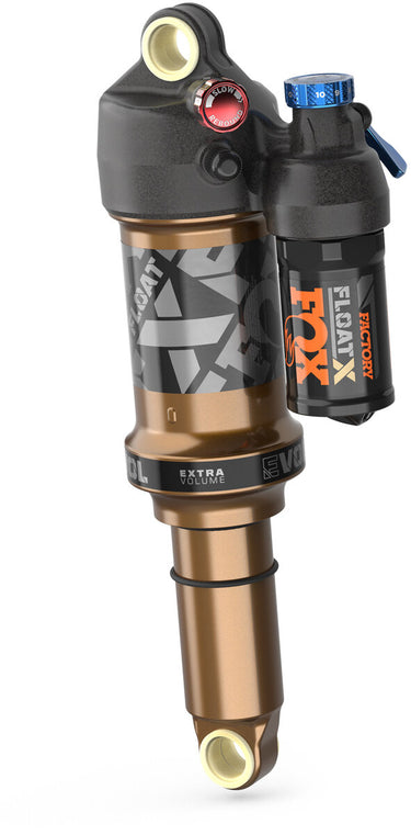 Factory FLOAT X - 2022